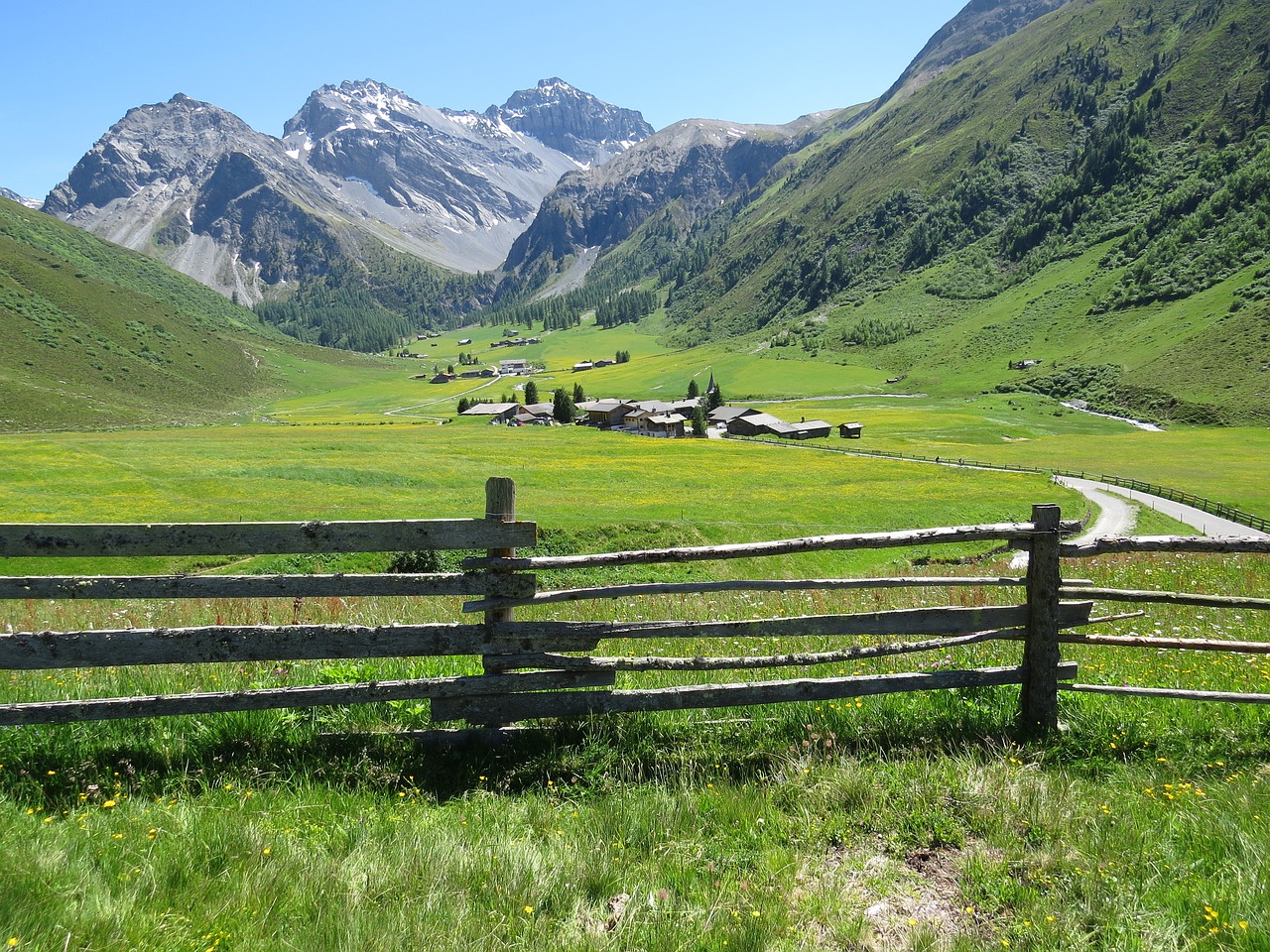 hiking alpine nature free photo