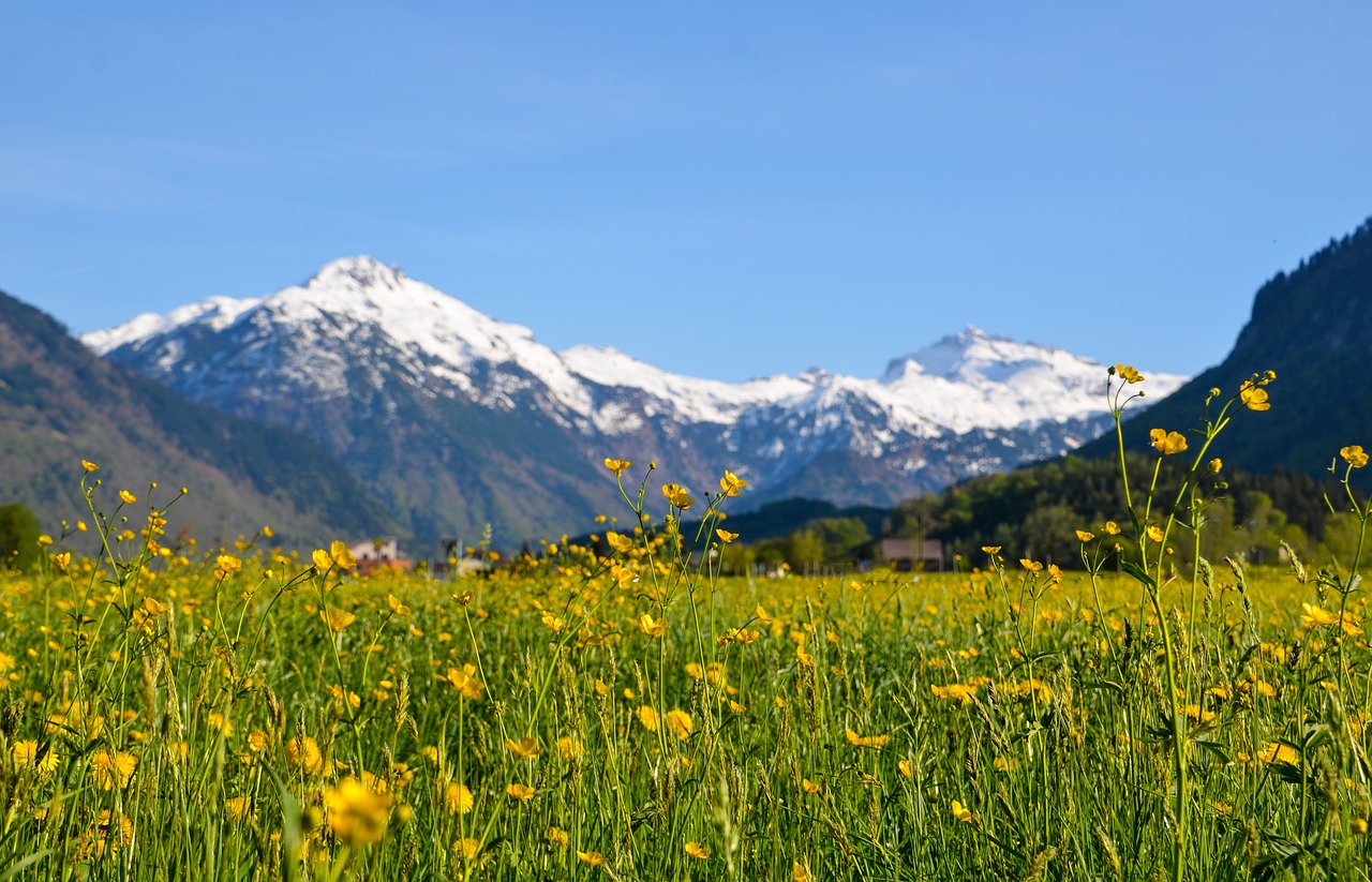 hiking  alpine  landscape free photo