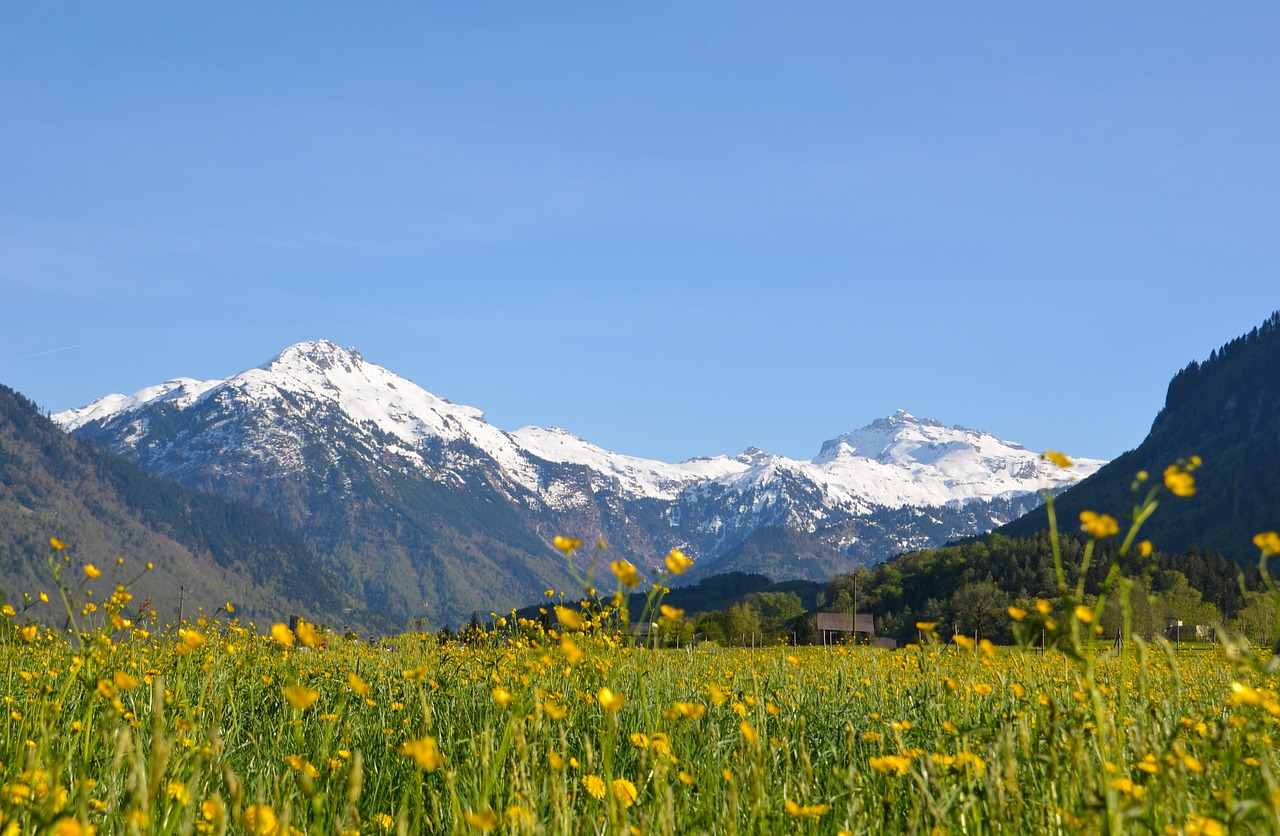 hiking  alpine  landscape free photo