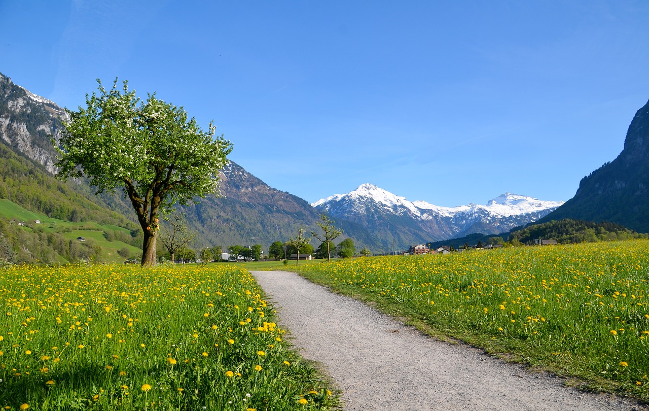 hiking  alpine  landscape free photo