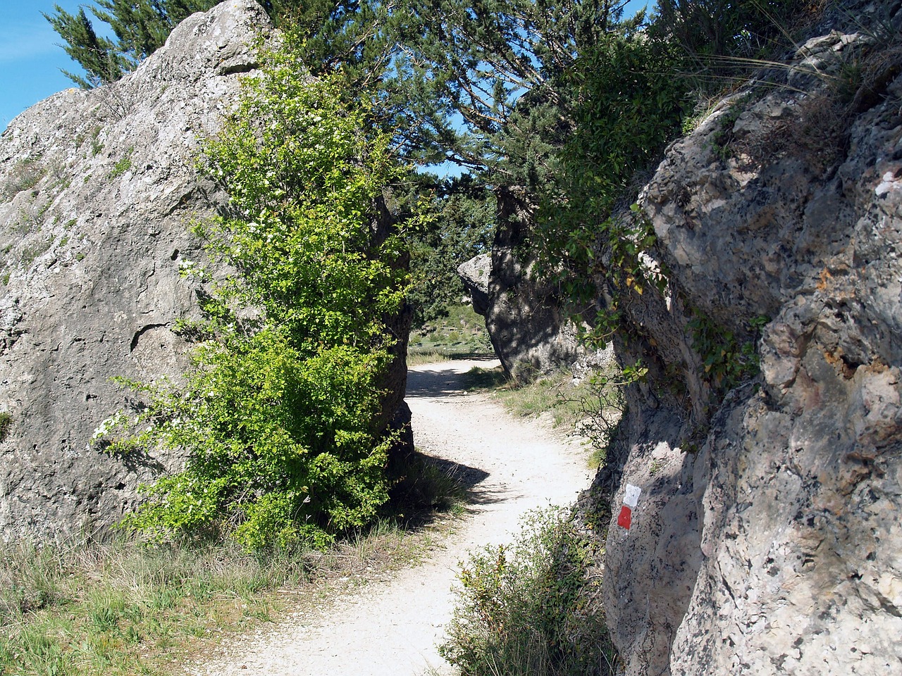 hiking trail nature free photo