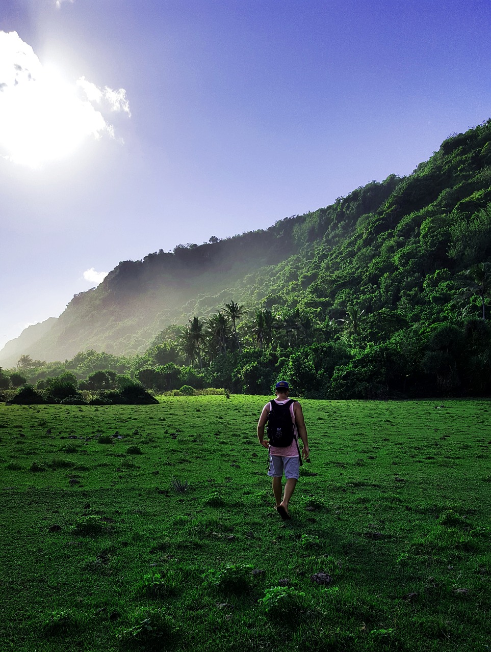 hiking  walk  away free photo