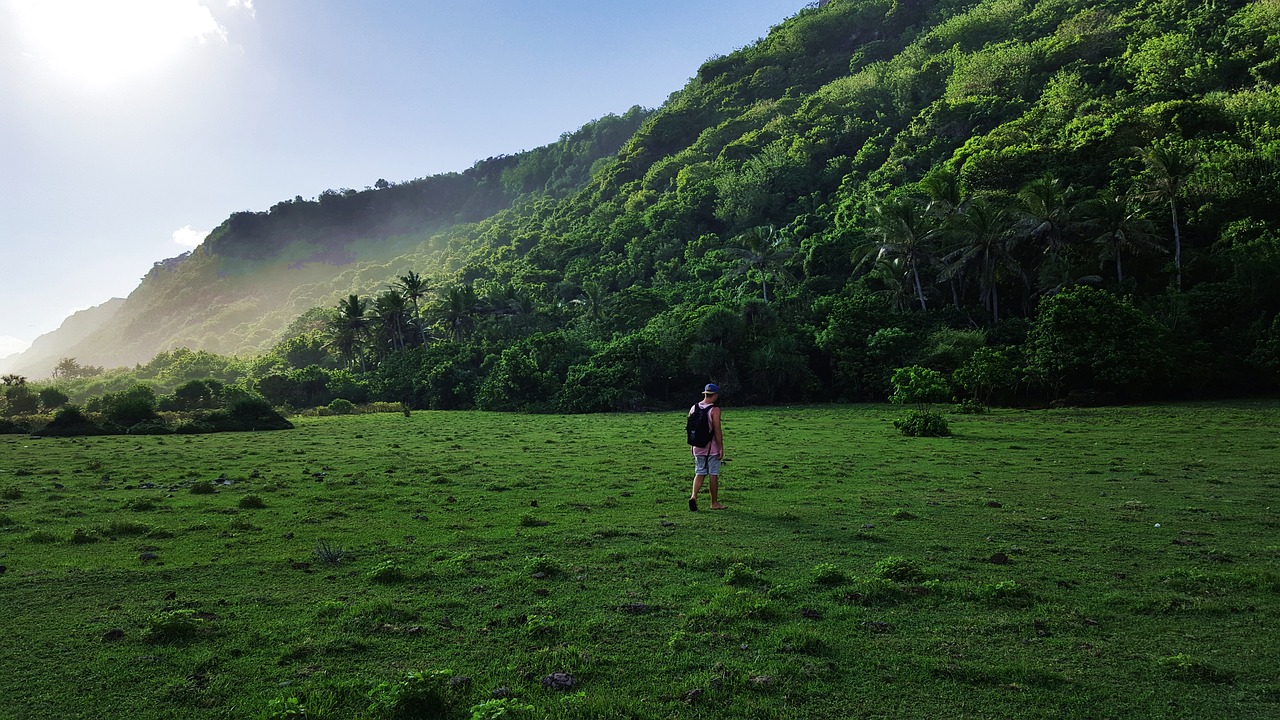 hiking  walk  wilderness free photo