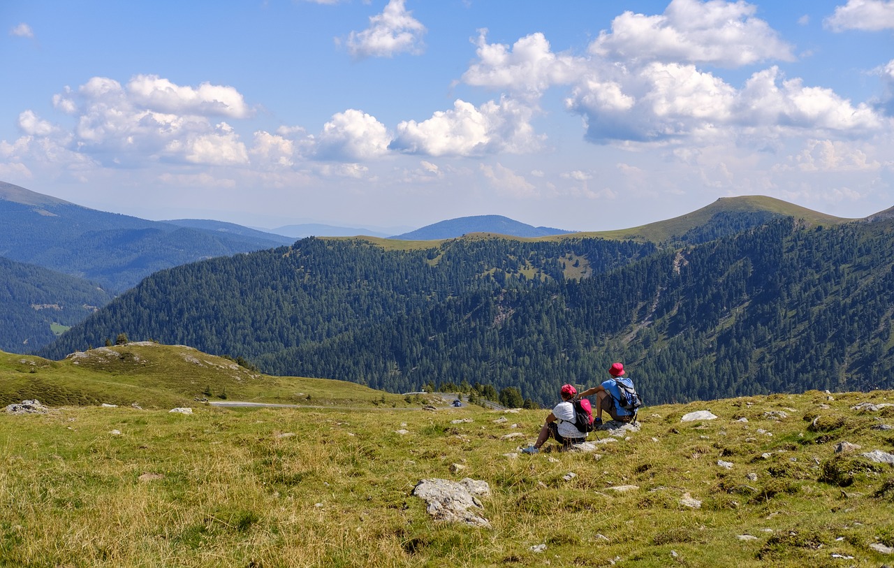 hiking  wanderer  rest free photo