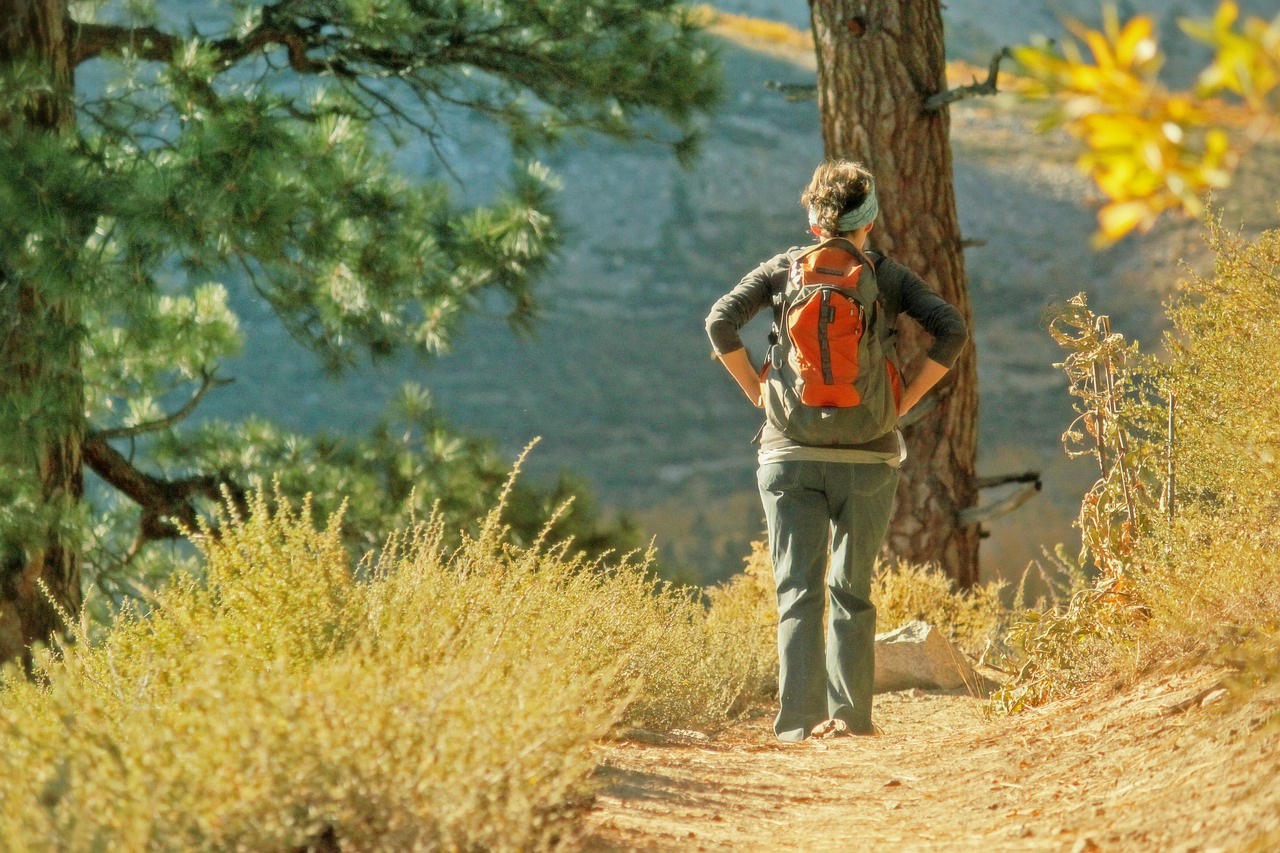 hiking  nature  backpack free photo