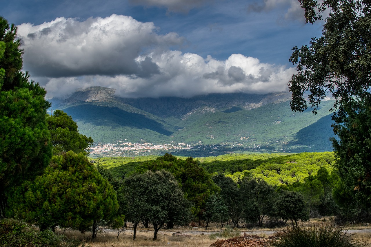 hiking  nature  path free photo