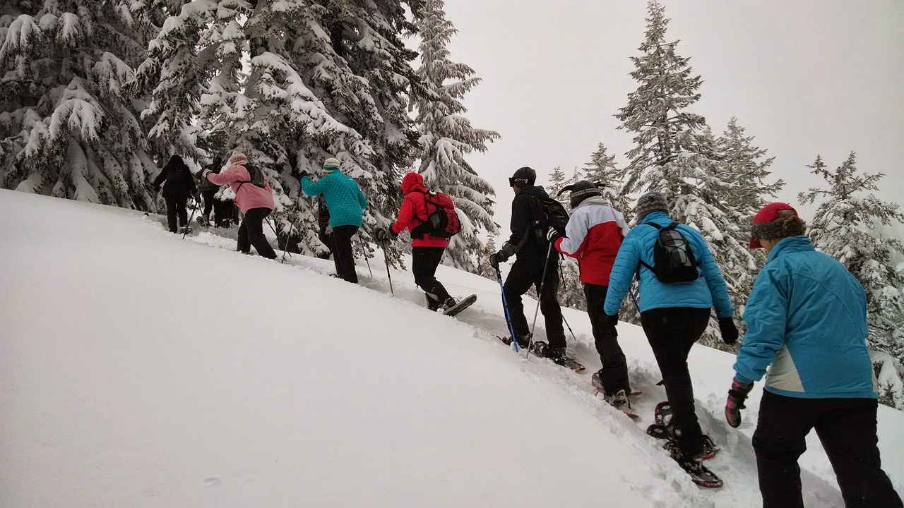 hiking snowshoeing tour free photo
