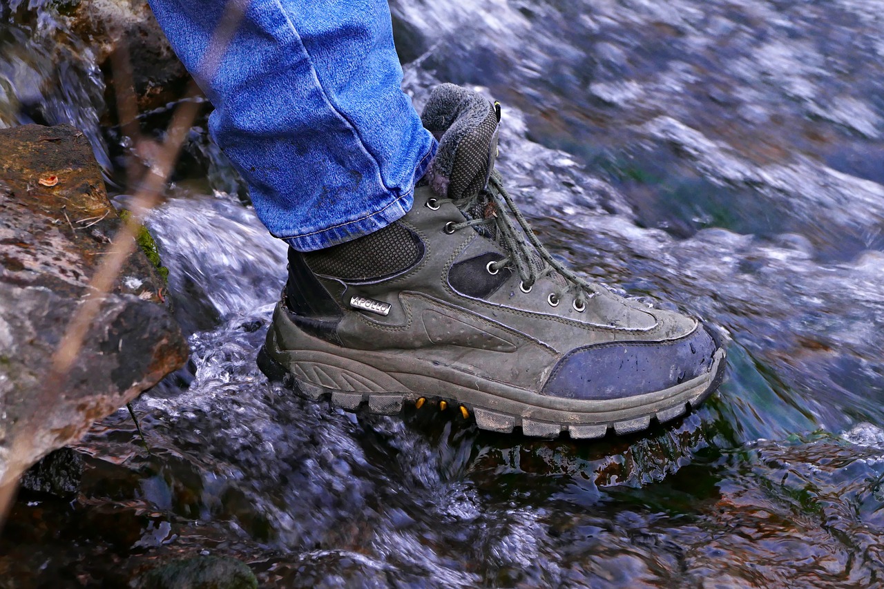 hiking  shoes  water free photo