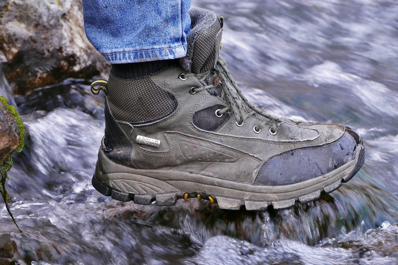 hiking  shoes  water free photo