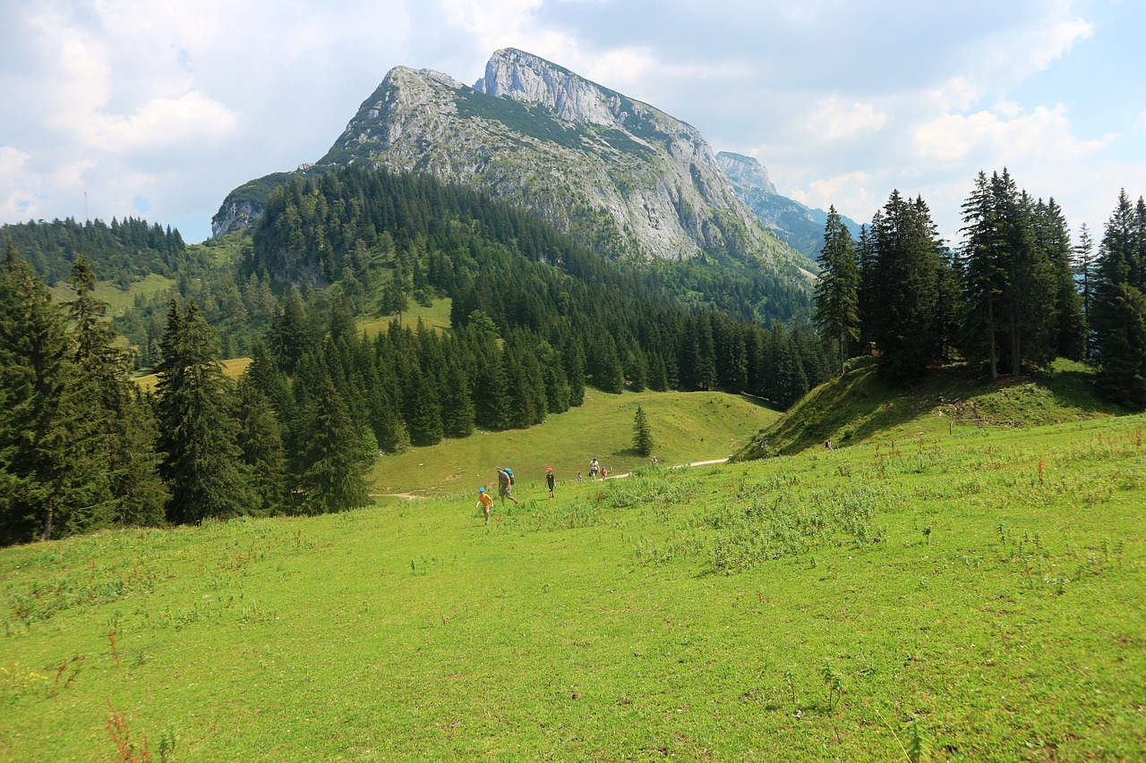 hiking  mountains  alps free photo