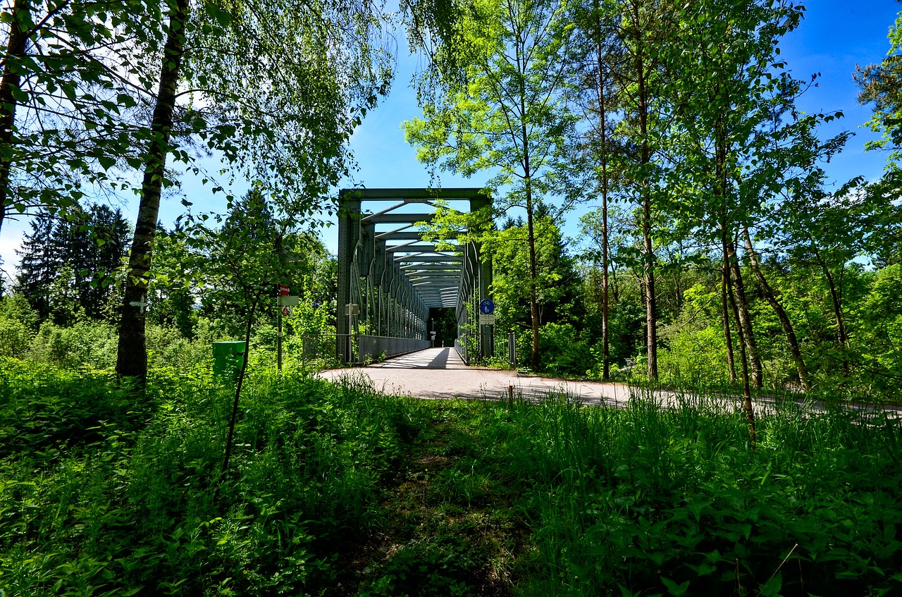 hiking  bridge  nature free photo