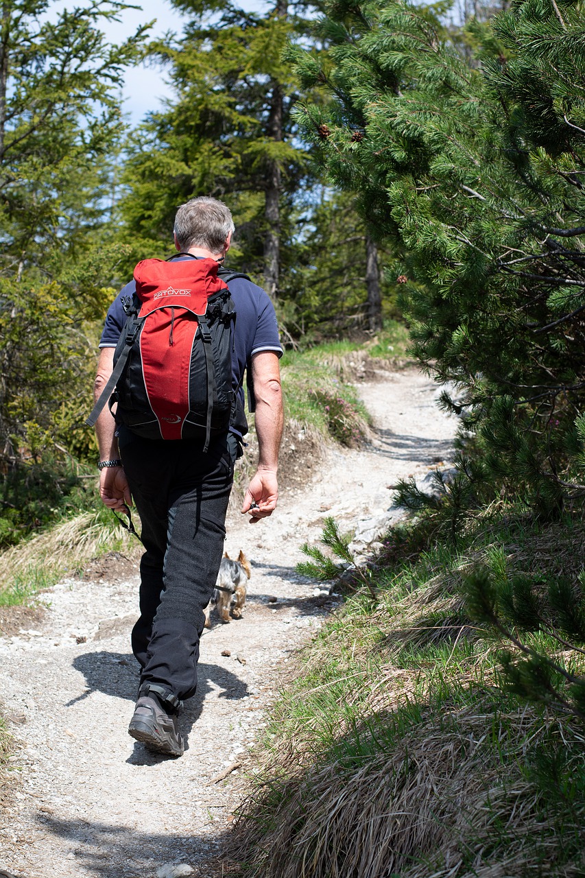 hiking  person  hike free photo