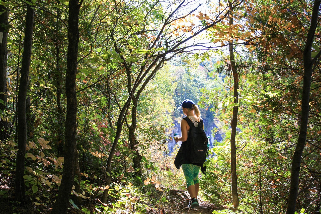 hiking trail path free photo