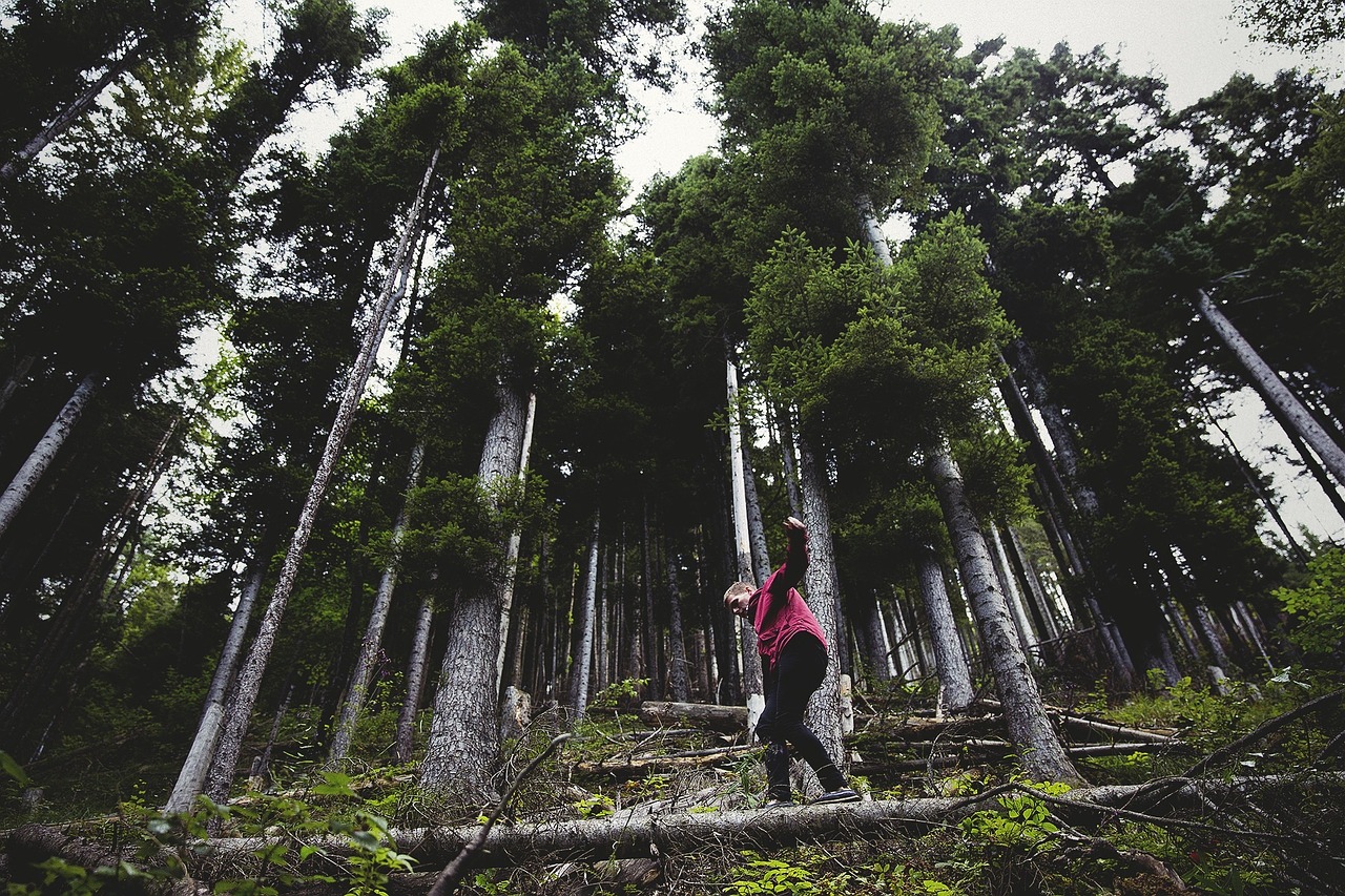 hiking hiker trail free photo