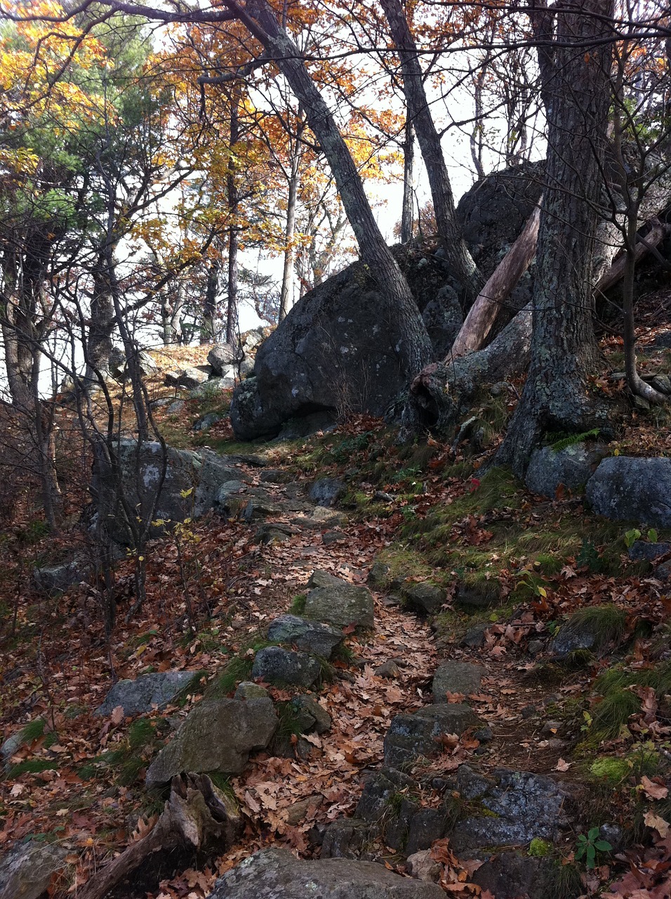 hiking outdoors healthy free photo