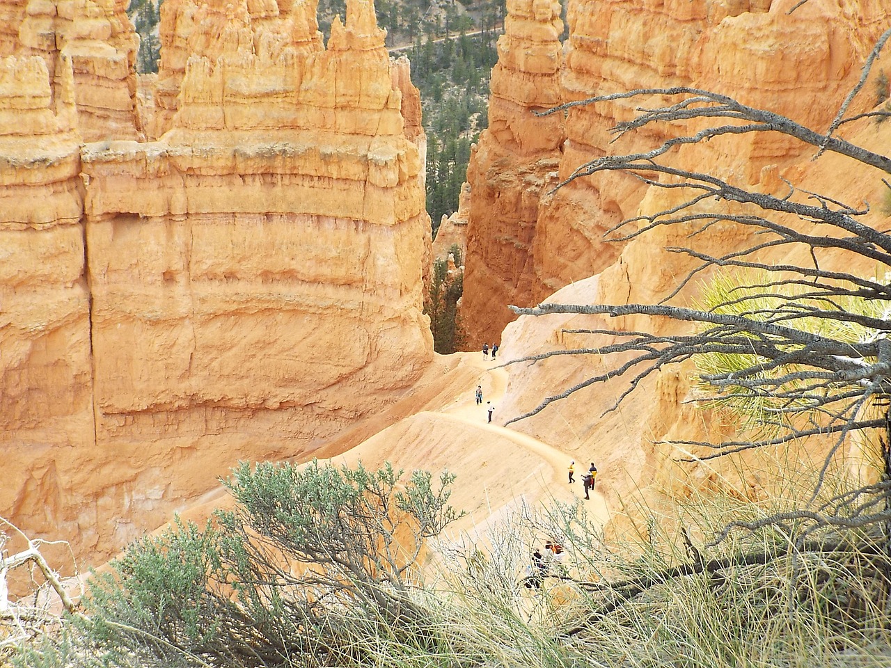 hiking bryce canyon national park free photo