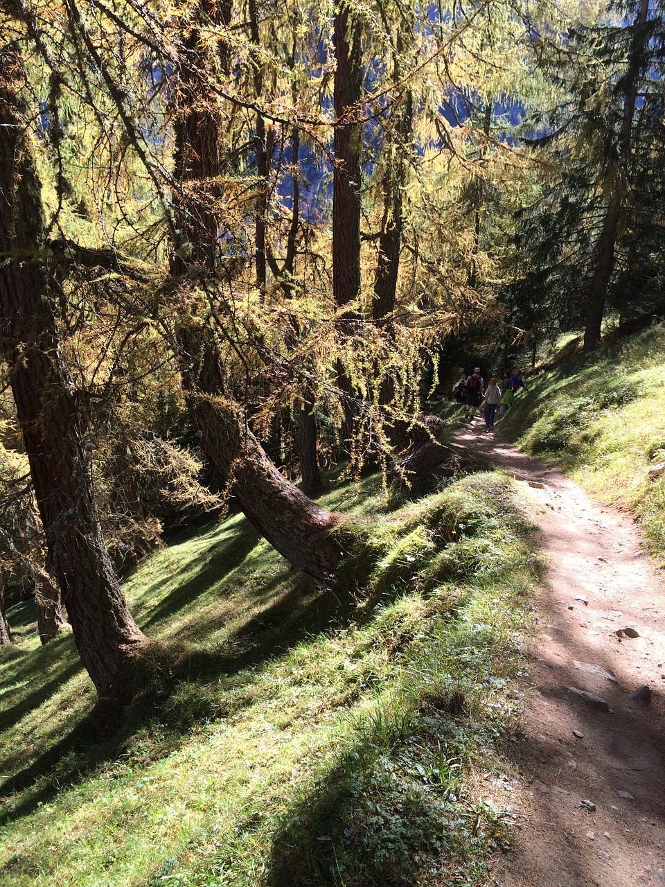 hiking mountains tyrol free photo