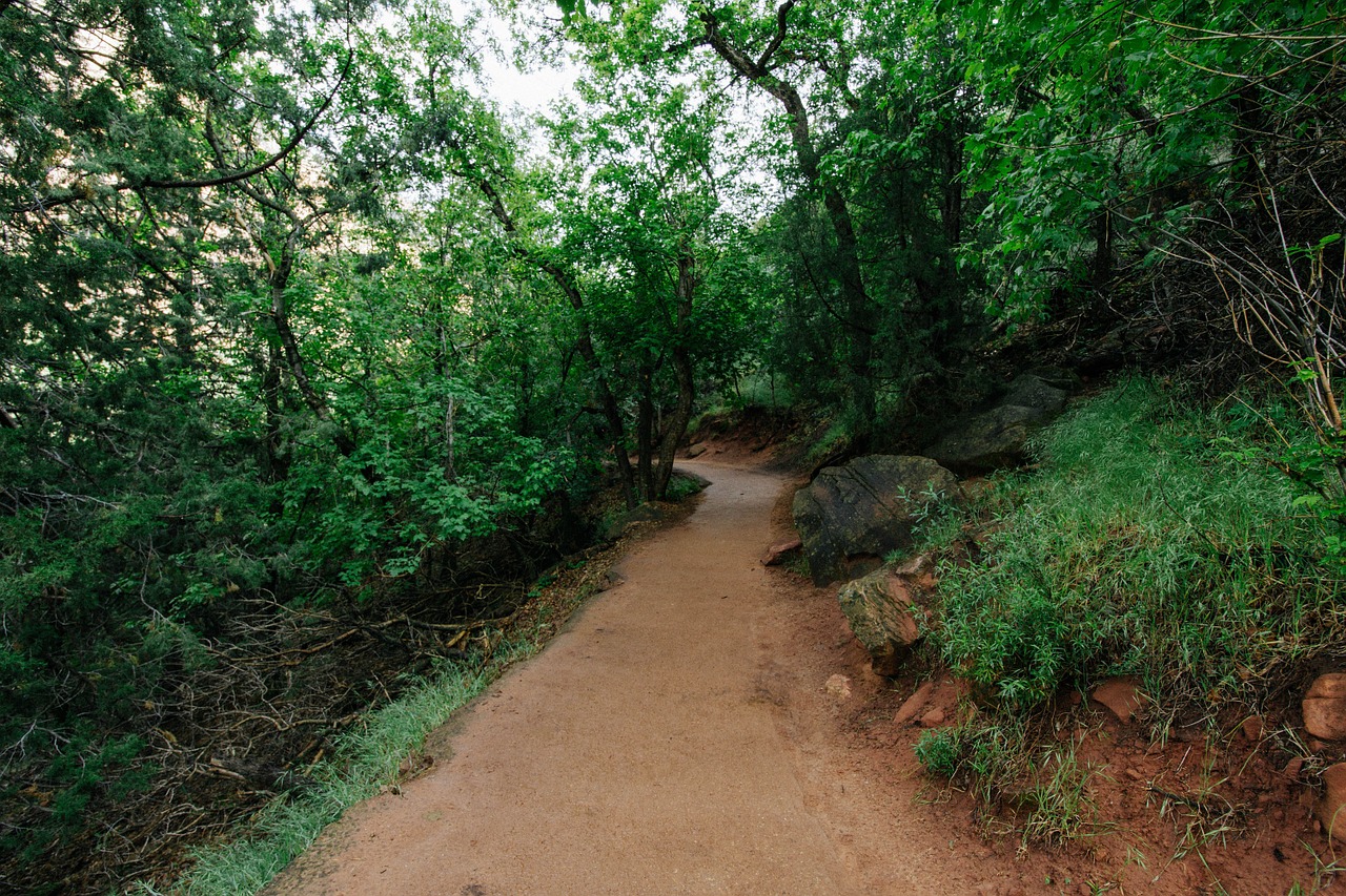 hiking trekking trail free photo