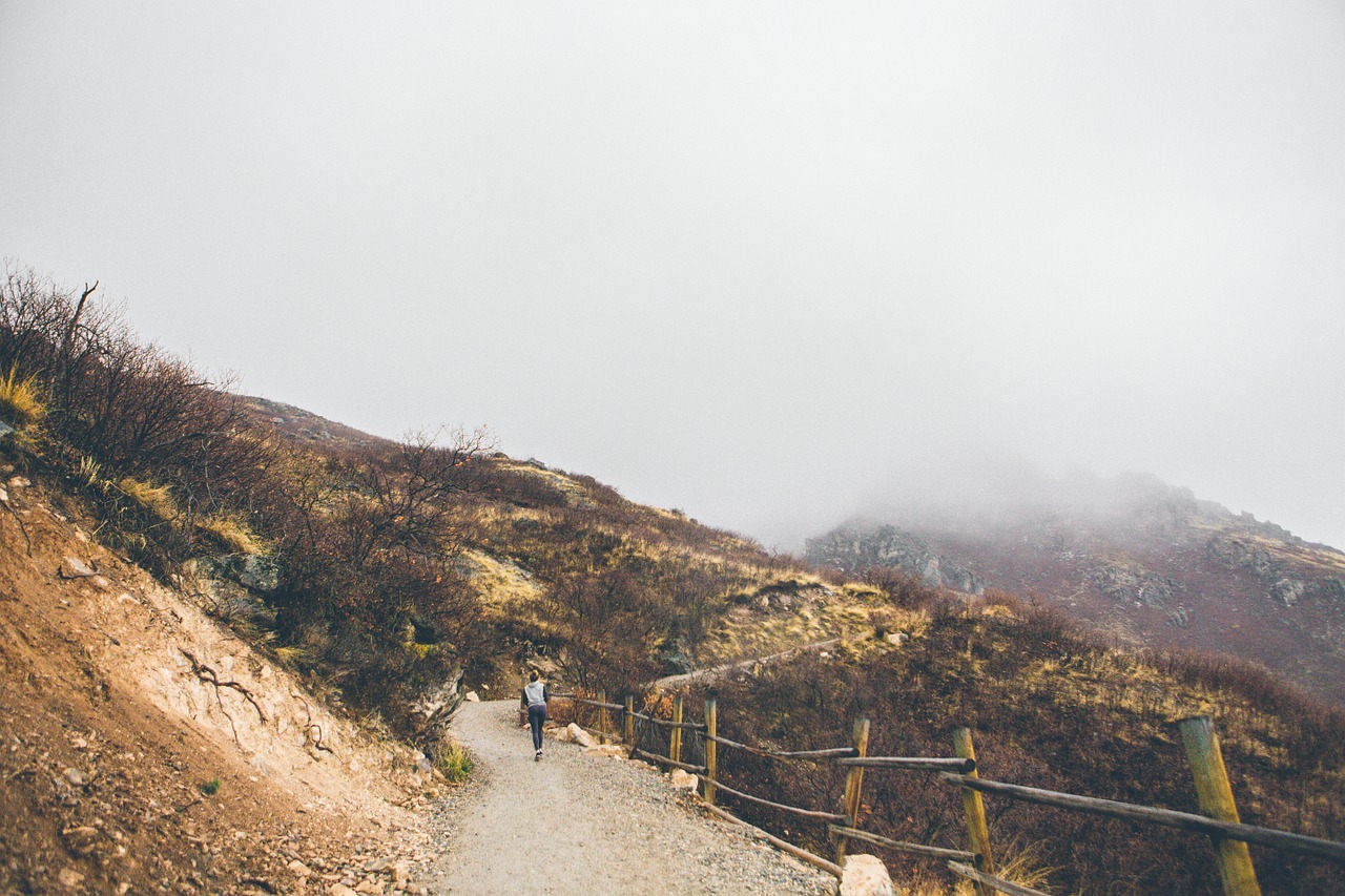 hiking trekking outdoors free photo