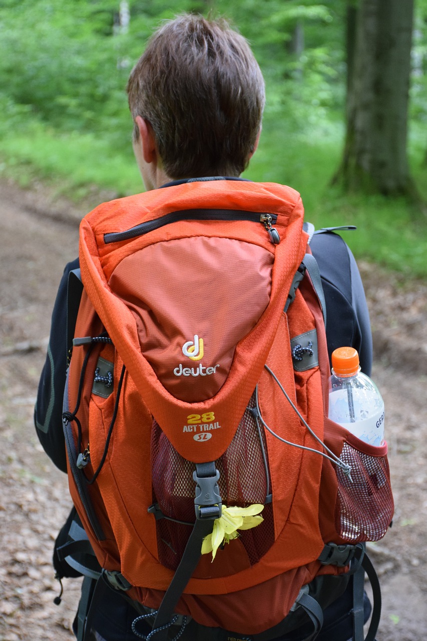 hiking backpack hiking nature free photo