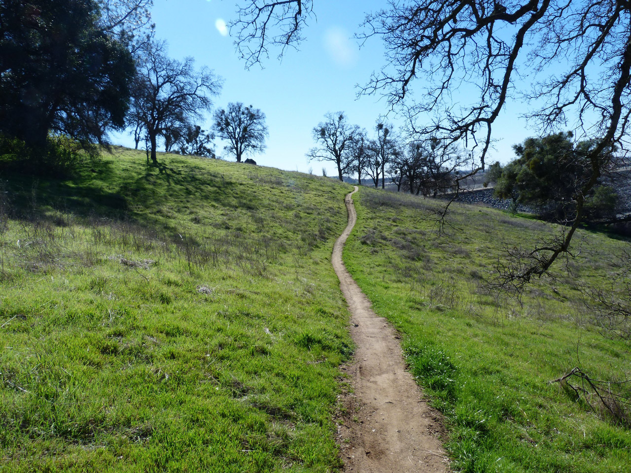 path hill grass free photo