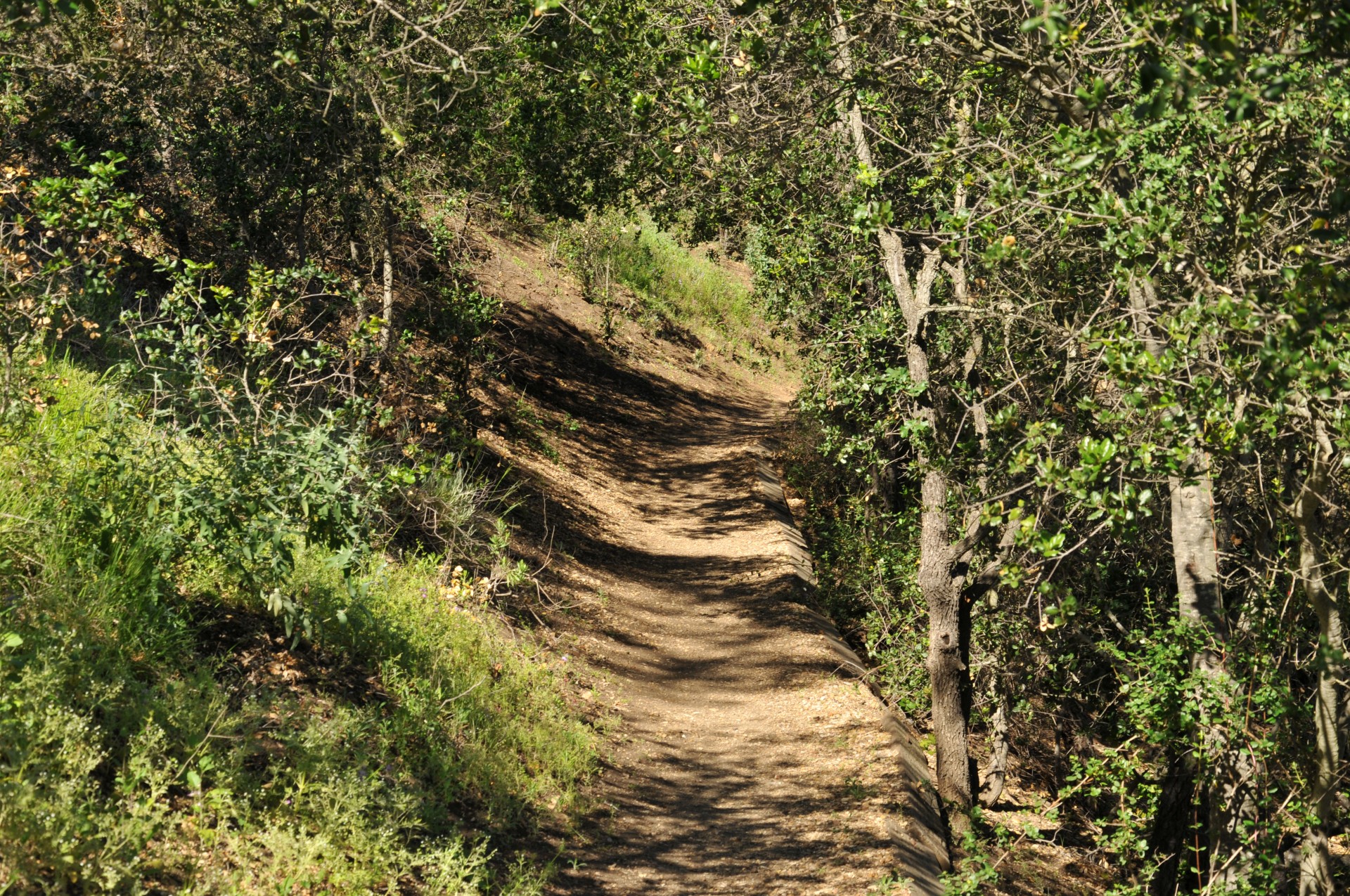 path dirt walk free photo