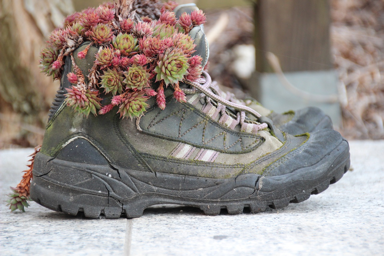 hiking shoes shoes gartendeko free photo