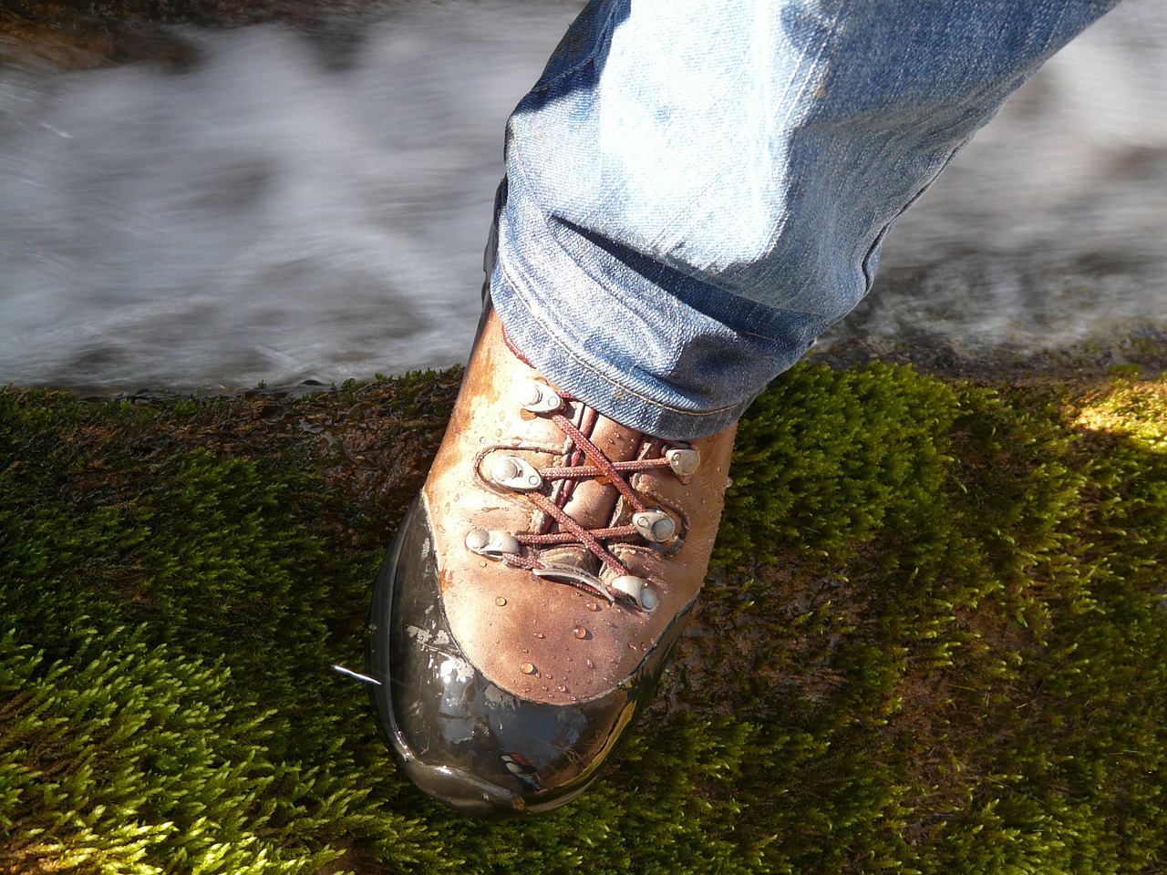hiking shoes water waterproof free photo