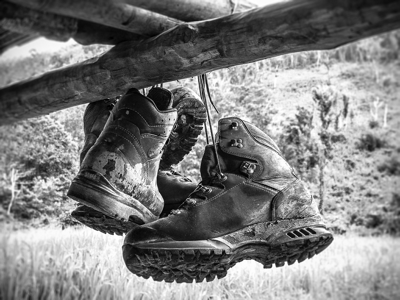 hiking shoes shoes adventure free photo