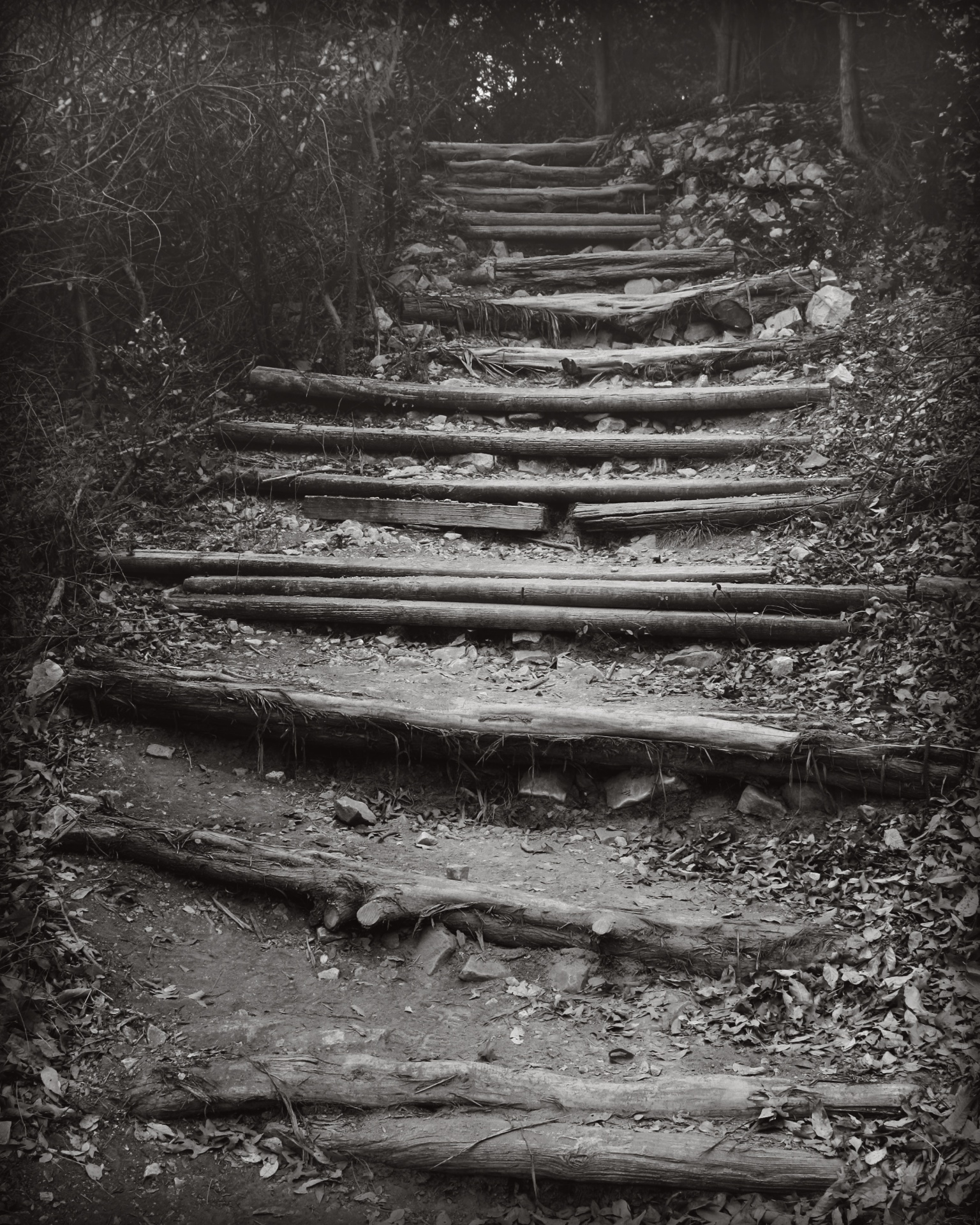 hiking trail stairs free photo