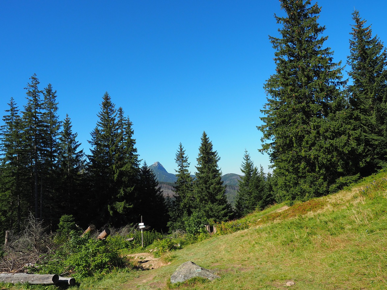 hiking trail mountains nature free photo