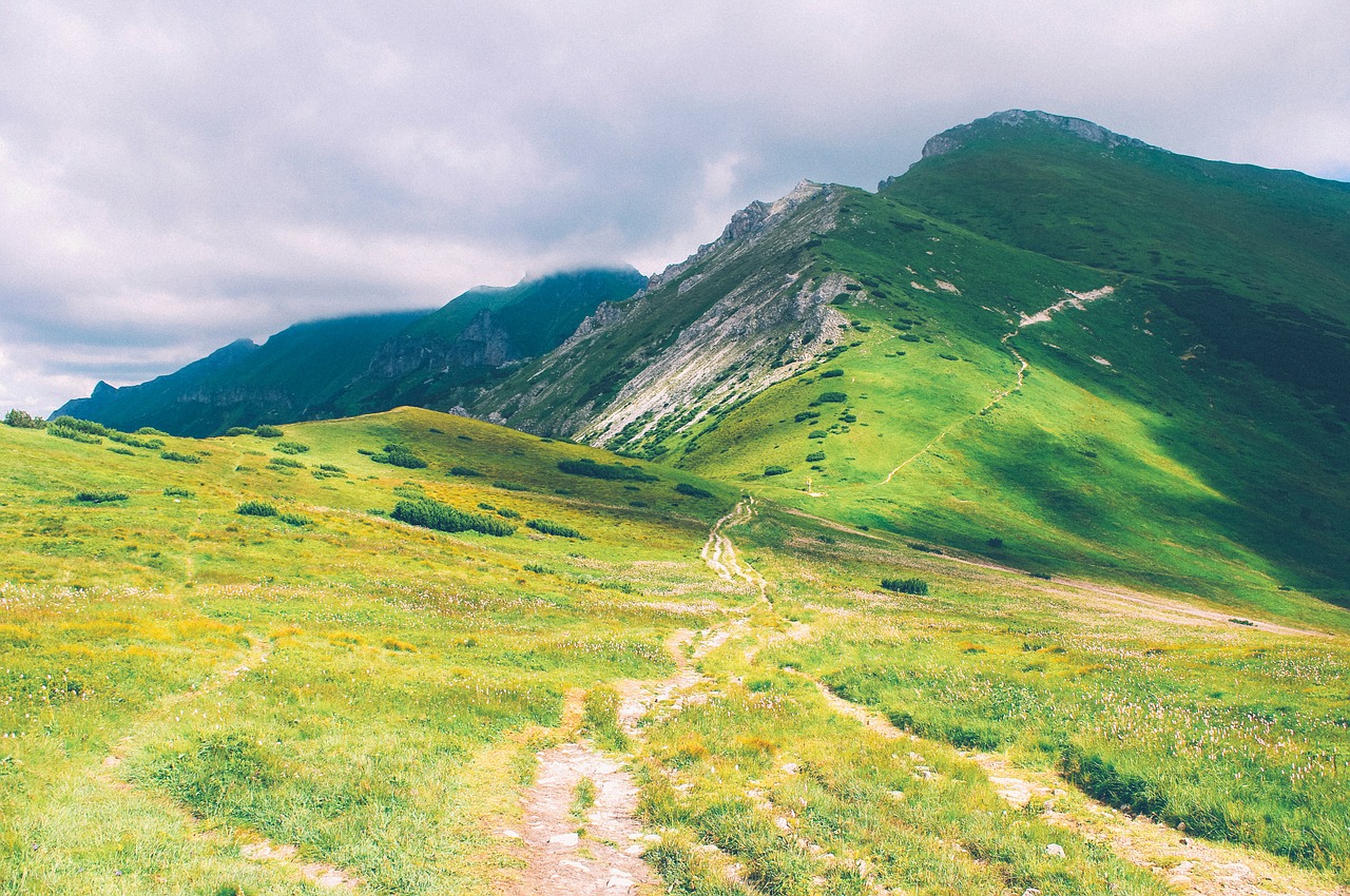 hiking trail hike path trail free photo