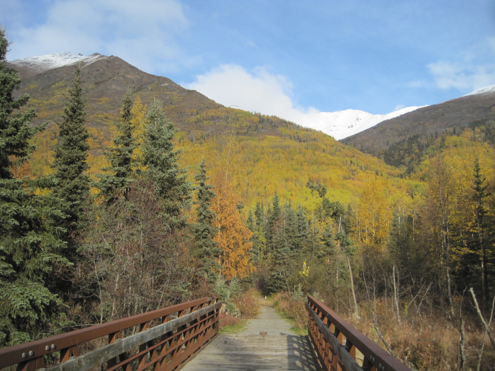 hiking trail bridge free photo