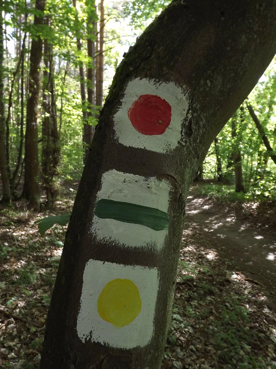 hiking trails signpost mark free photo