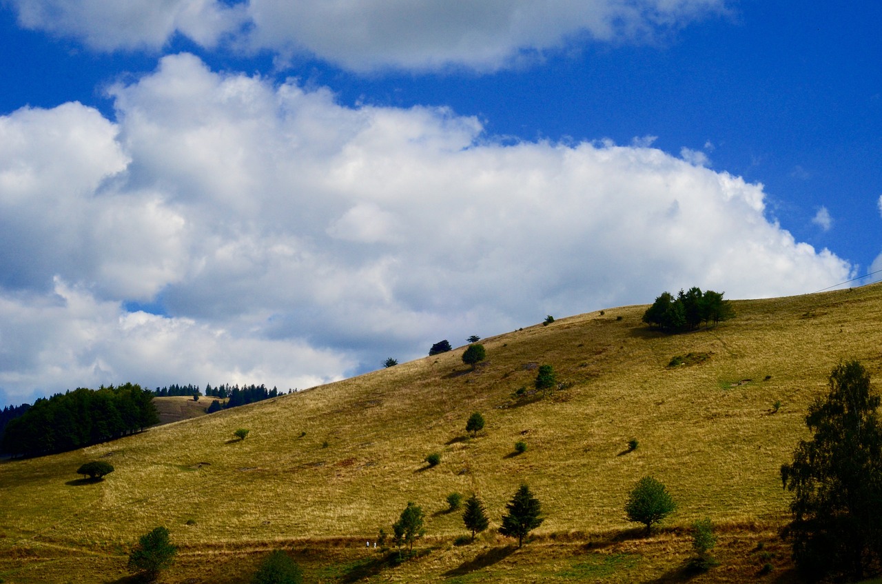 hill grassy sky free photo