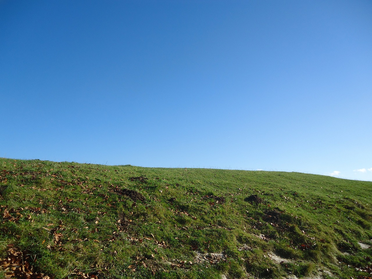 hill top grass free photo