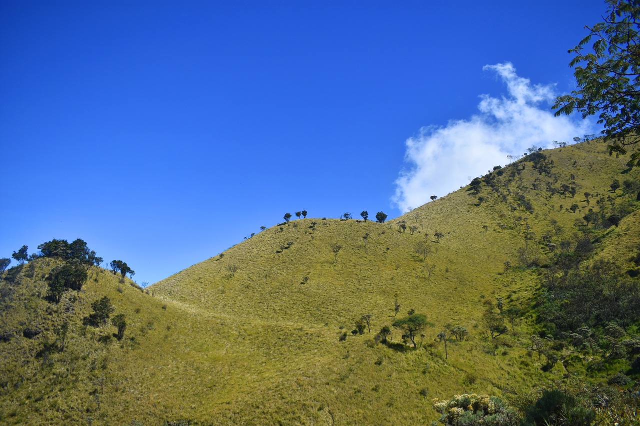 hill indonesia landscape free photo