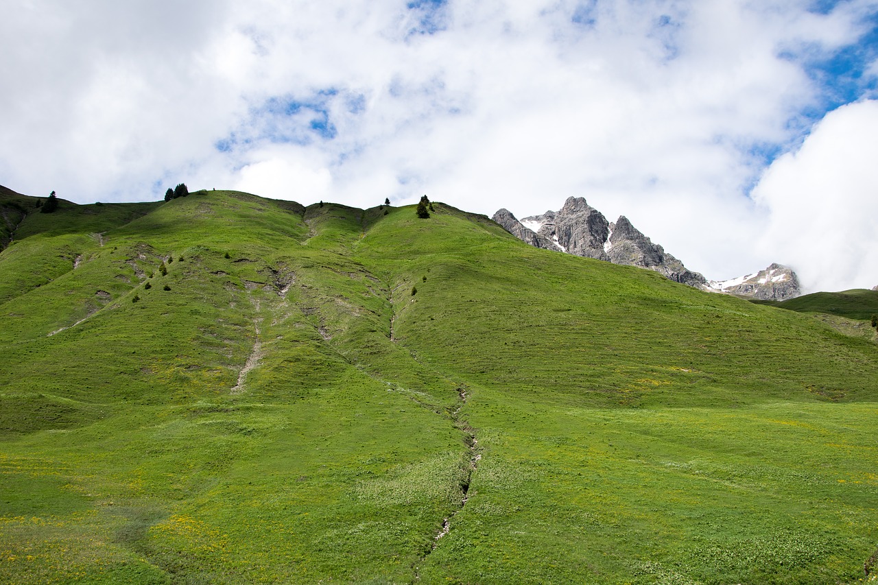 hill stream austria free photo