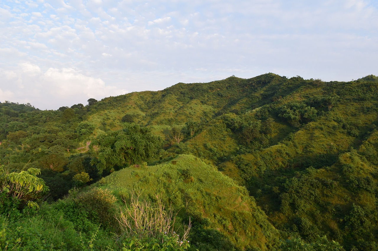 hill green landscape free photo