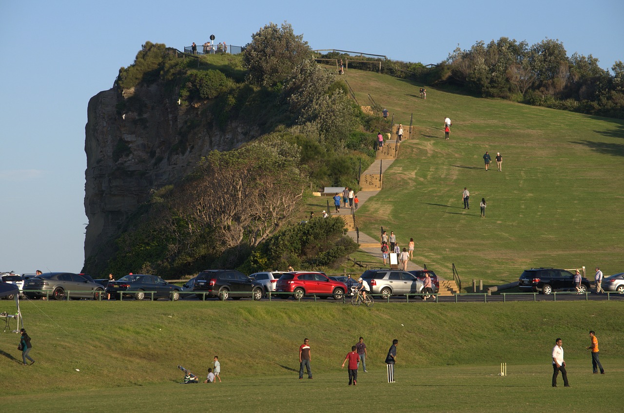 hill cricket terrigal free photo