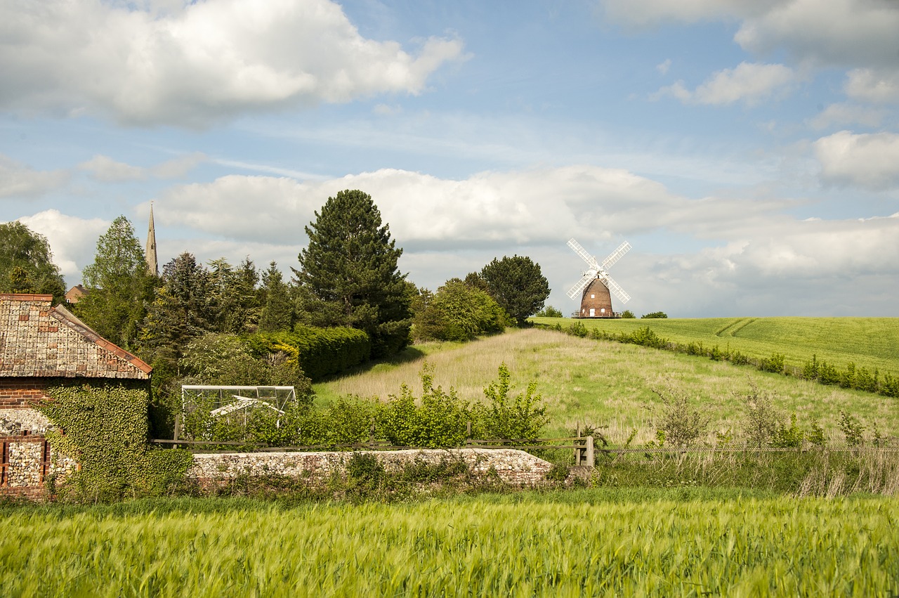 hill  grass  countryside free photo