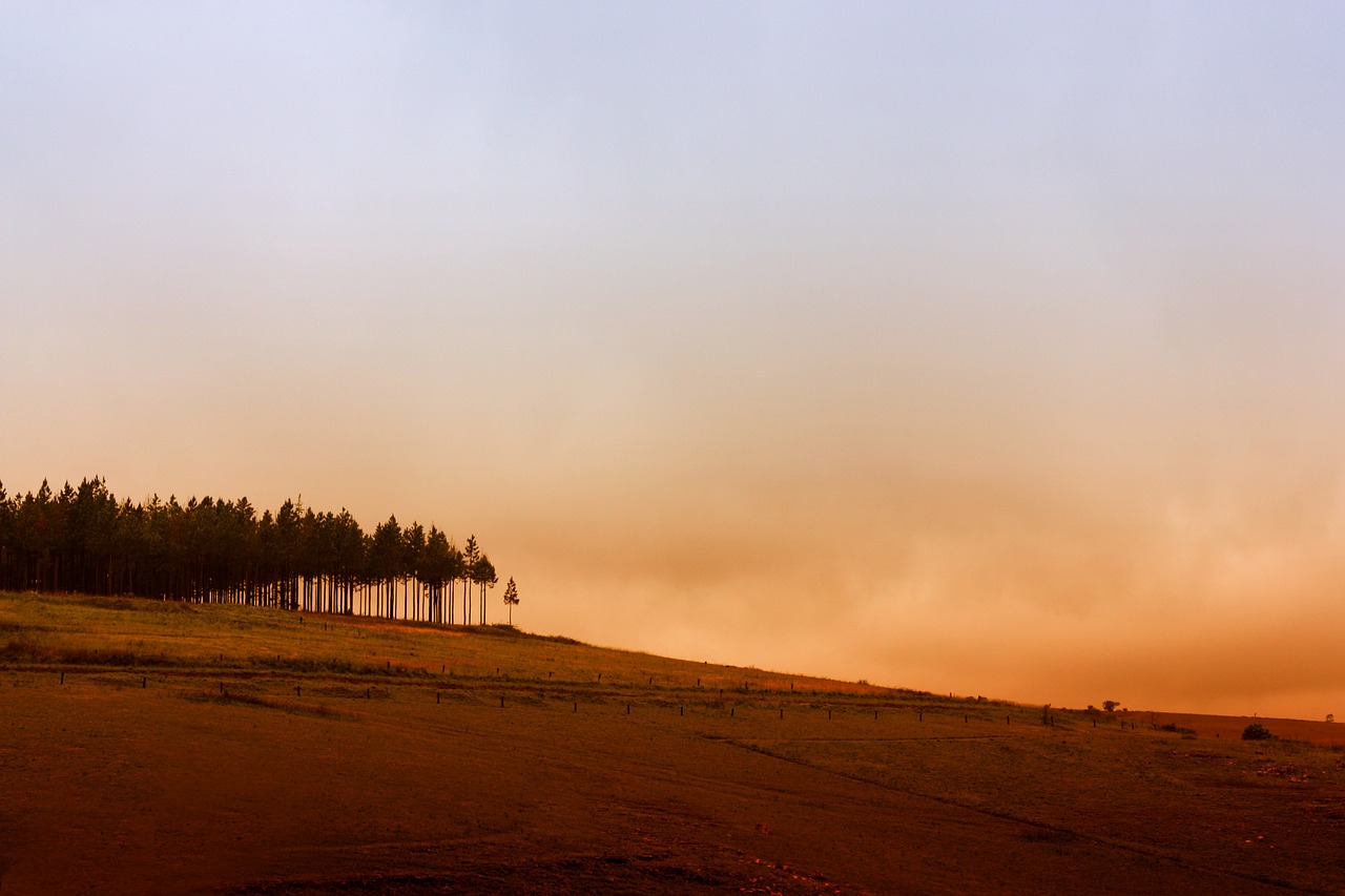 hill trees landscape free photo