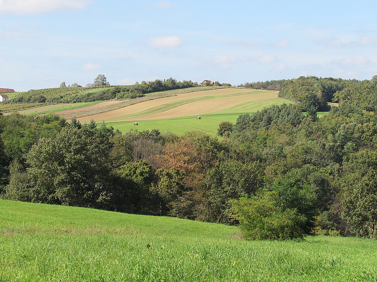 hill landscape nature free photo