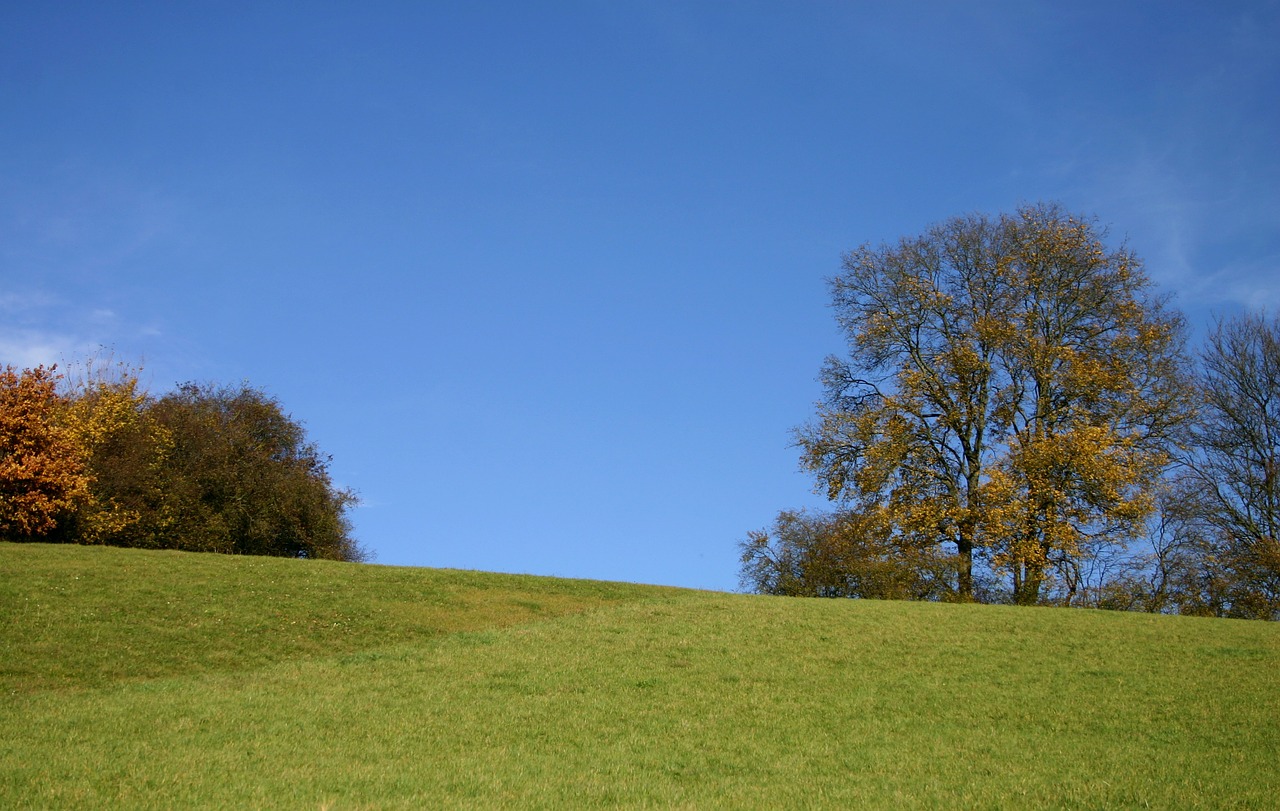 hill landscape nature free photo