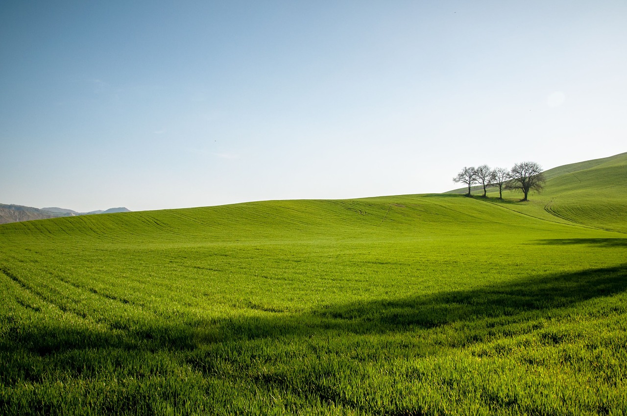 hill field sky free photo