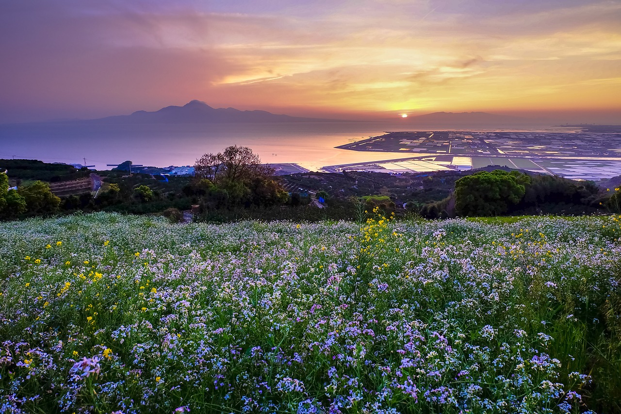 hill of the narcissist japan kumamoto free photo