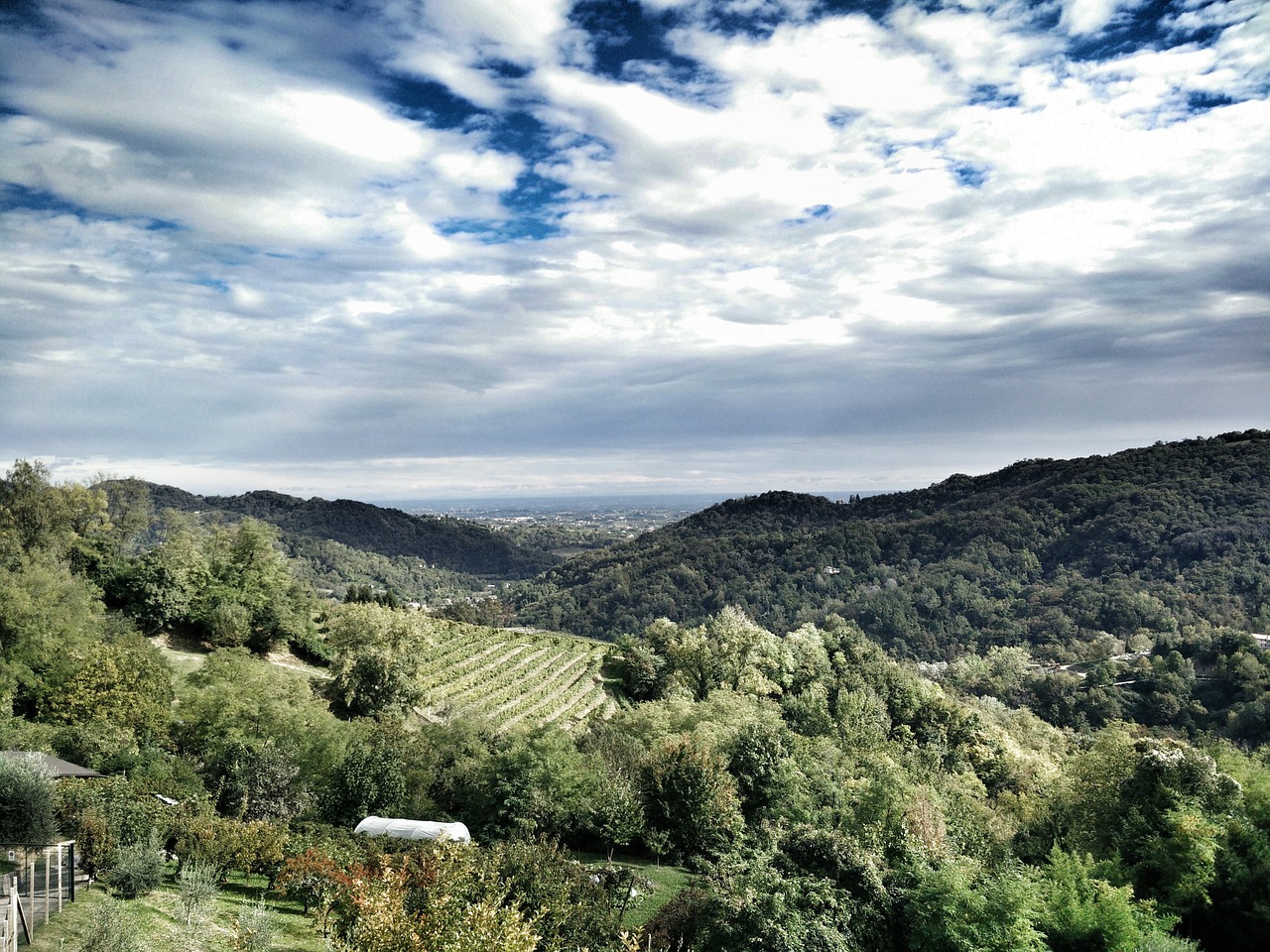 hills nature pasture free photo