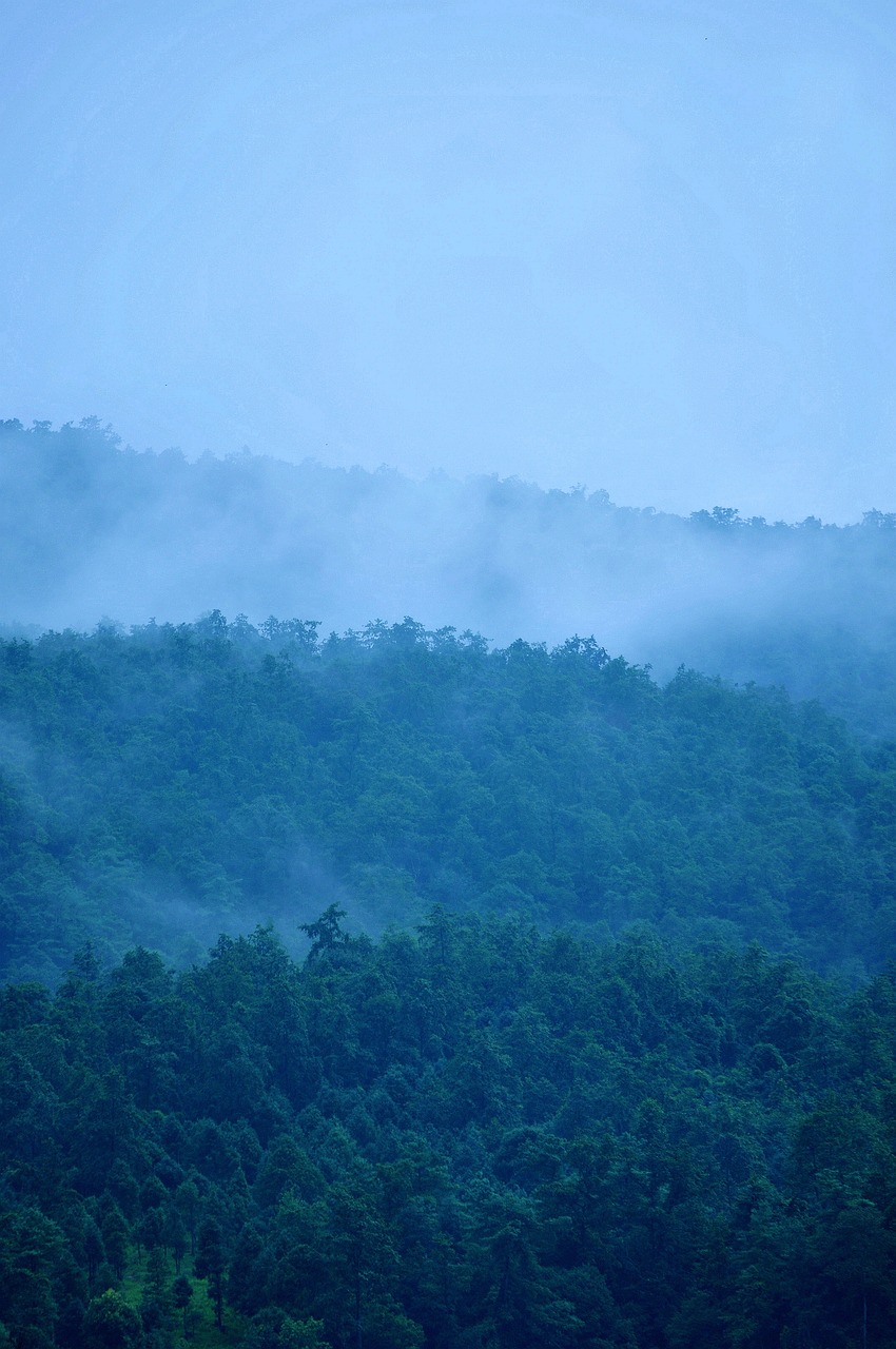 hills fog color layer the peak free photo