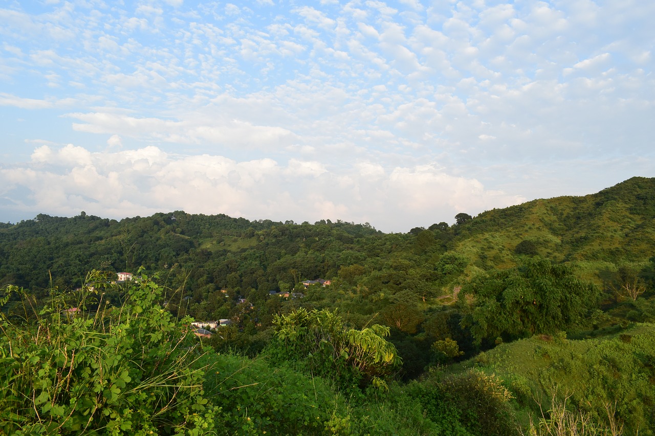 hills  green  landscape free photo