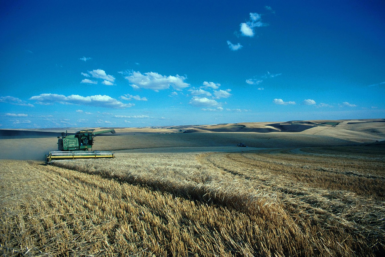 hills palouse washingtons free photo